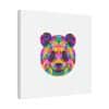 Colored Panda Classic Stretched Canvas - Image 166