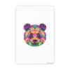 Colored Panda Photo Art Paper Posters - Image 25