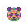 Colored Panda Photo Art Paper Posters - Image 19