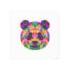 Colored Panda Photo Art Paper Posters - Image 55
