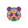 Colored Panda Photo Art Paper Posters - Image 70