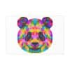 Colored Panda Photo Art Paper Posters - Image 64