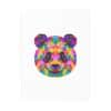 Colored Panda Photo Art Paper Posters - Image 106