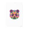 Colored Panda Photo Art Paper Posters - Image 28