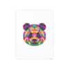 Colored Panda Photo Art Paper Posters - Image 124