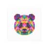 Colored Panda Photo Art Paper Posters - Image 115