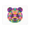 Colored Panda Photo Art Paper Posters - Image 58