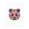 Colored Panda Photo Art Paper Posters - Image 34