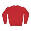 Colored Panda Youth Crewneck Sweatshirt - Image 38