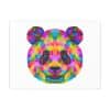 Colored Panda Photo Art Paper Posters - Image 67