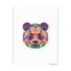 Colored Panda Photo Art Paper Posters - Image 22