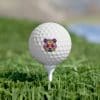 Colored Panda Golf Balls, 6pcs - Image 4